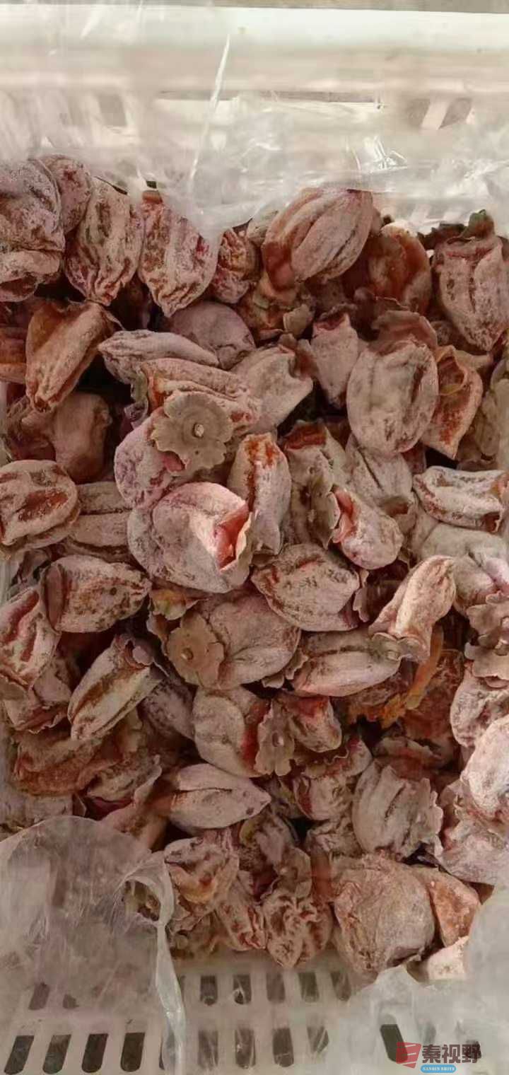 陈孟林_2025-12-16_102304_031 (8).jpg