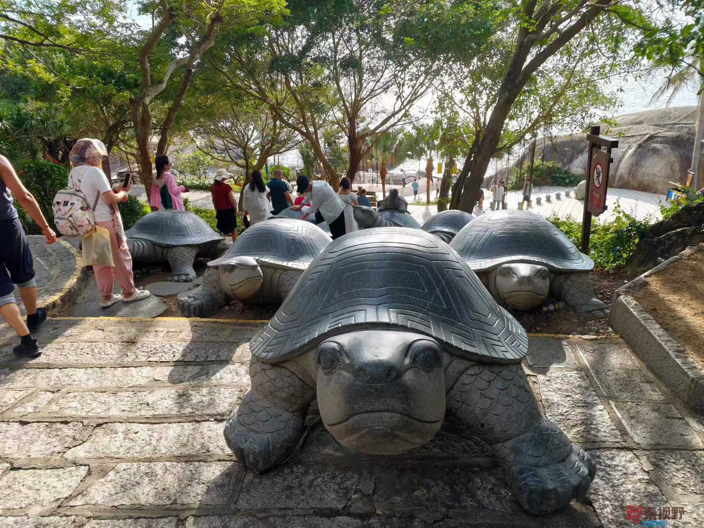 王文智_2025-12-16_102337_970 (7).jpg