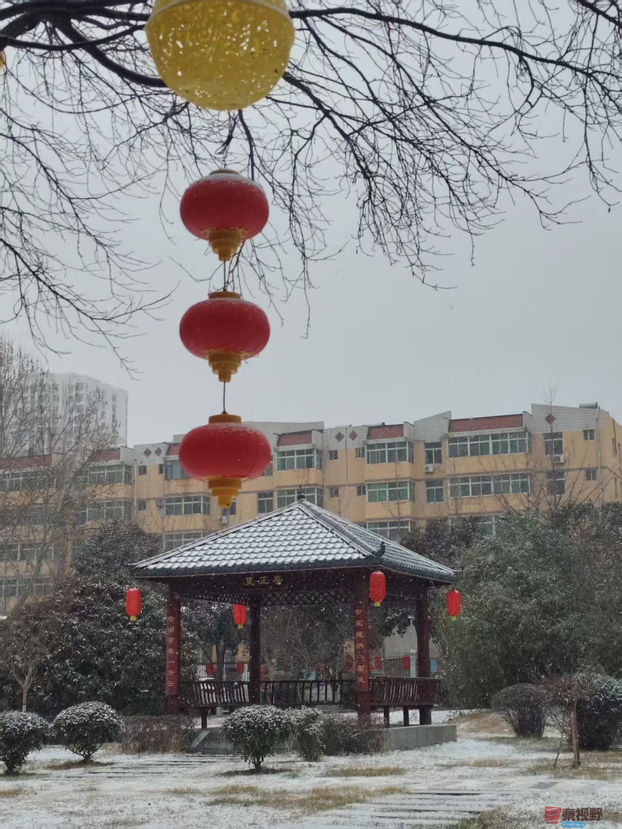 吕卫东_20260131180129_116_583 (3).jpg