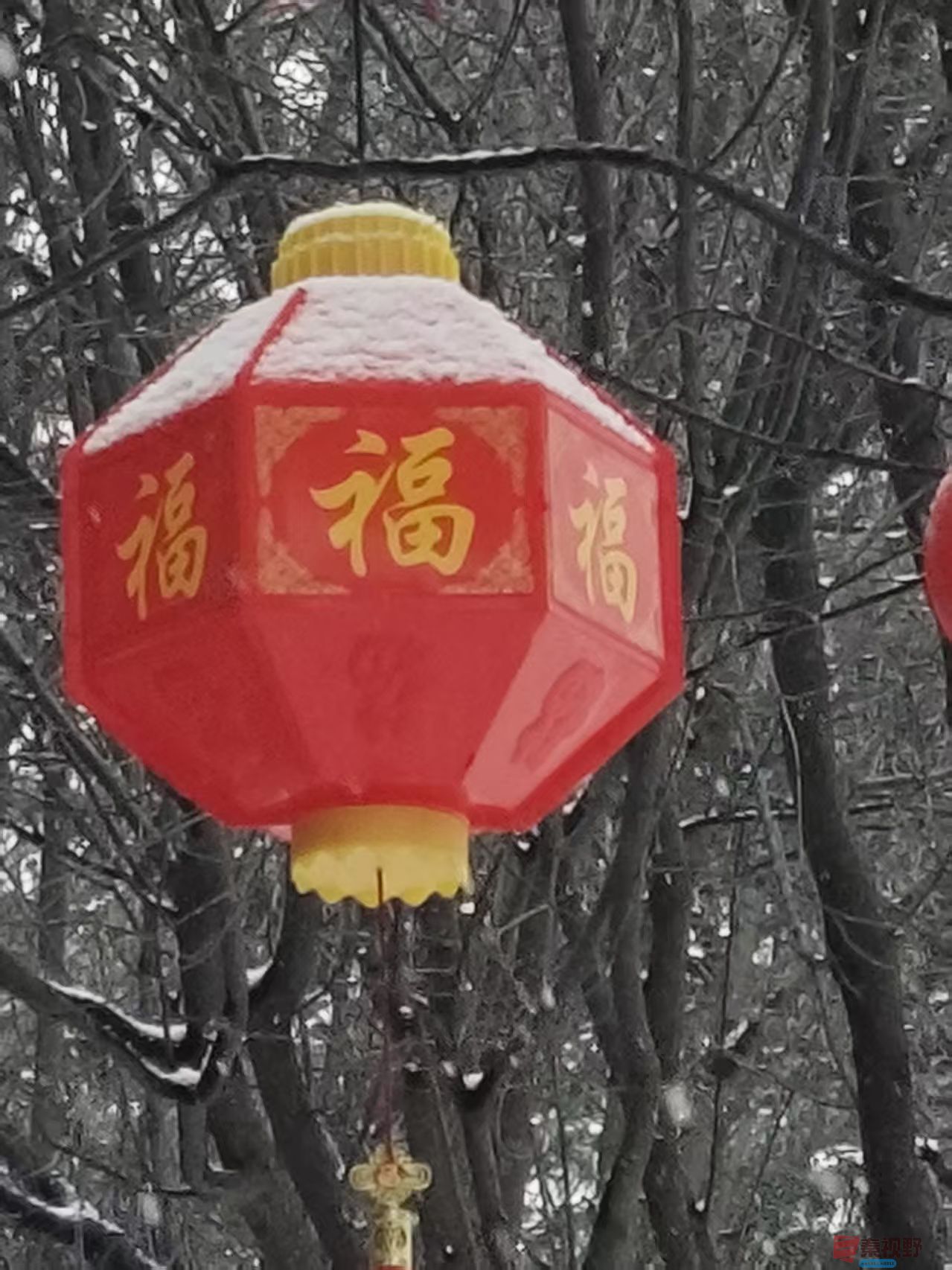 吕卫东_20260131180129_116_583 (4).jpg