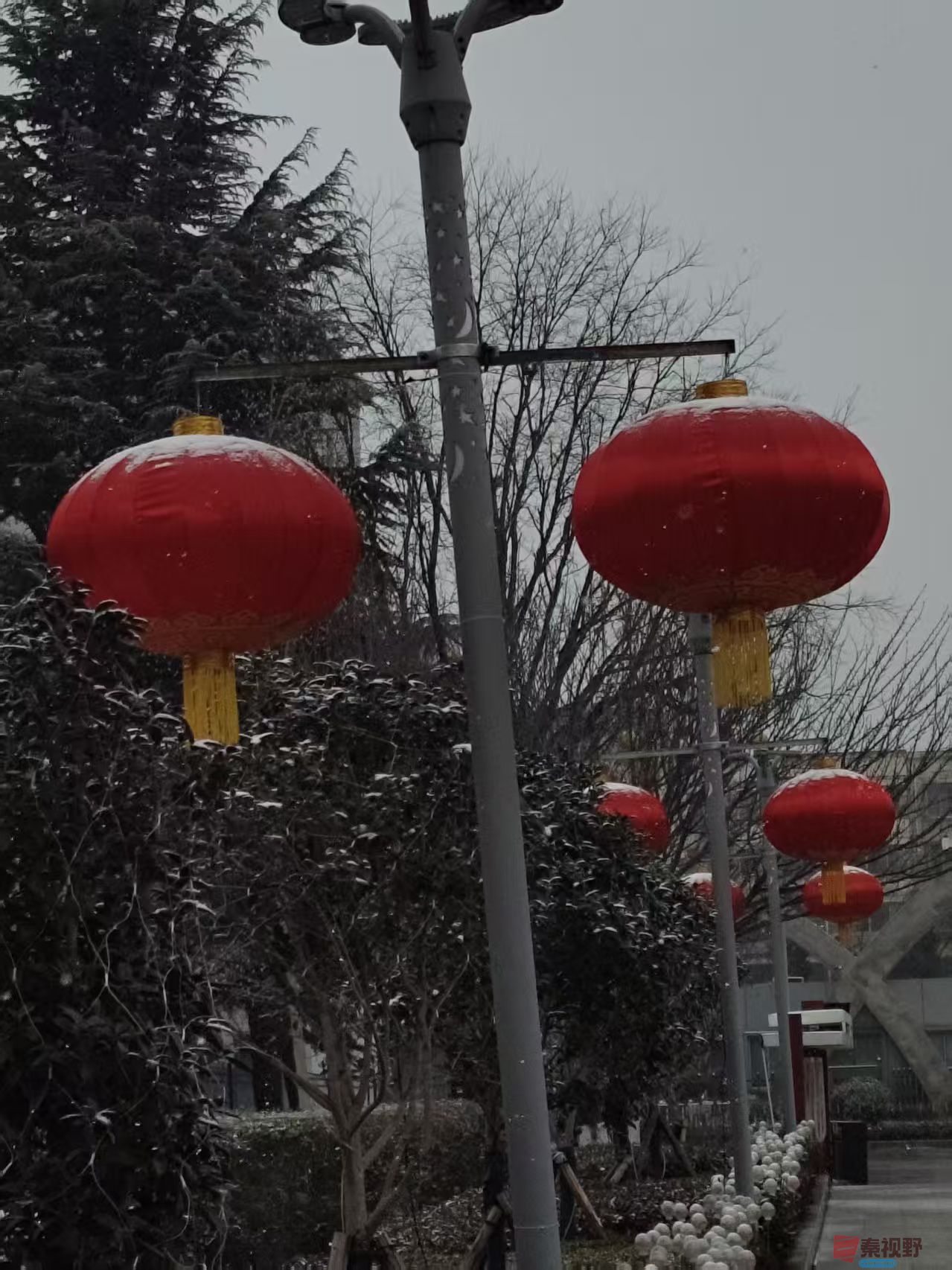 吕卫东_20260131180129_116_583 (9).jpg