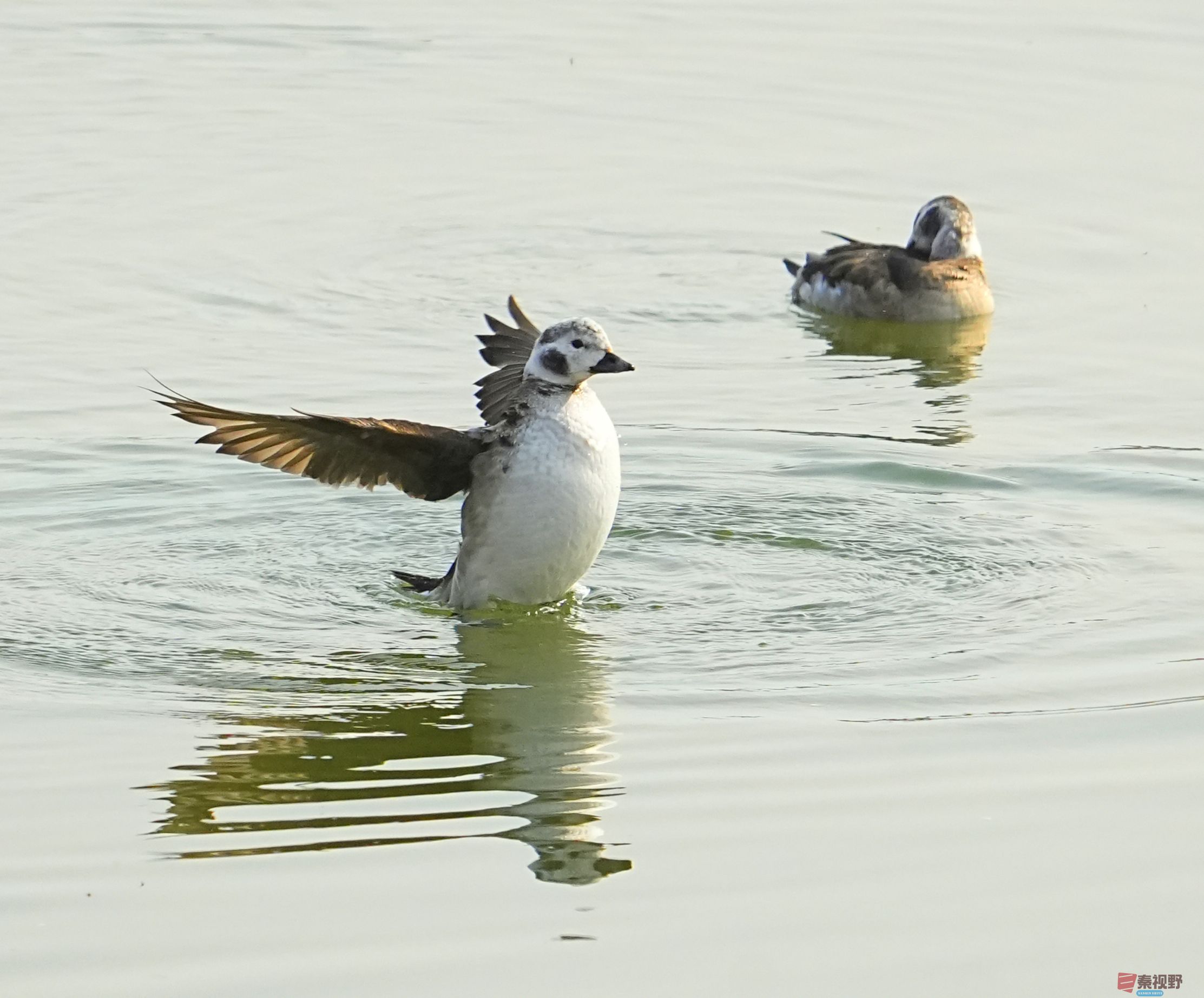 伍卸凤_20260131210906_7303_463 (6).jpg