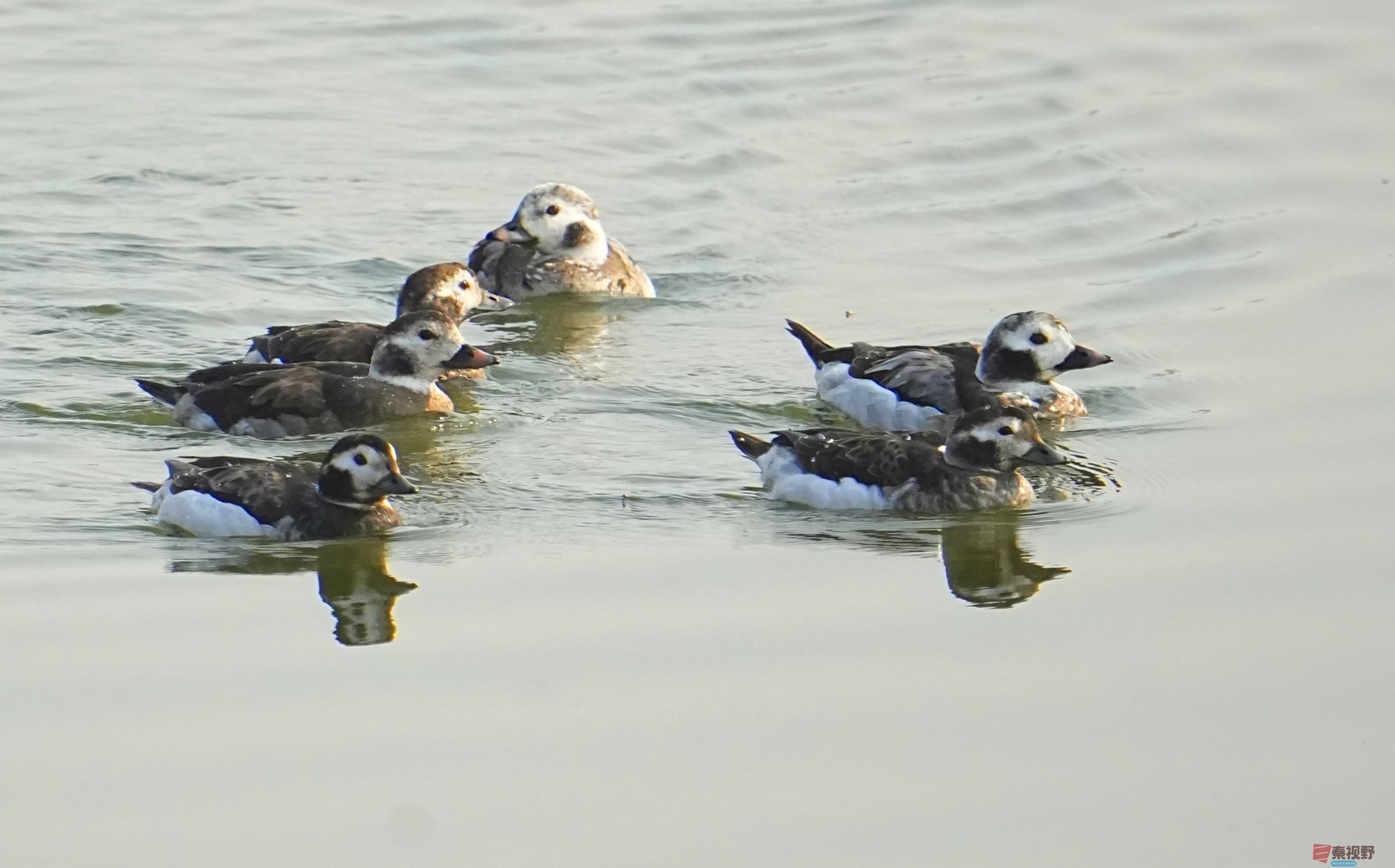 伍卸凤_20260131210906_7303_463 (14).jpg