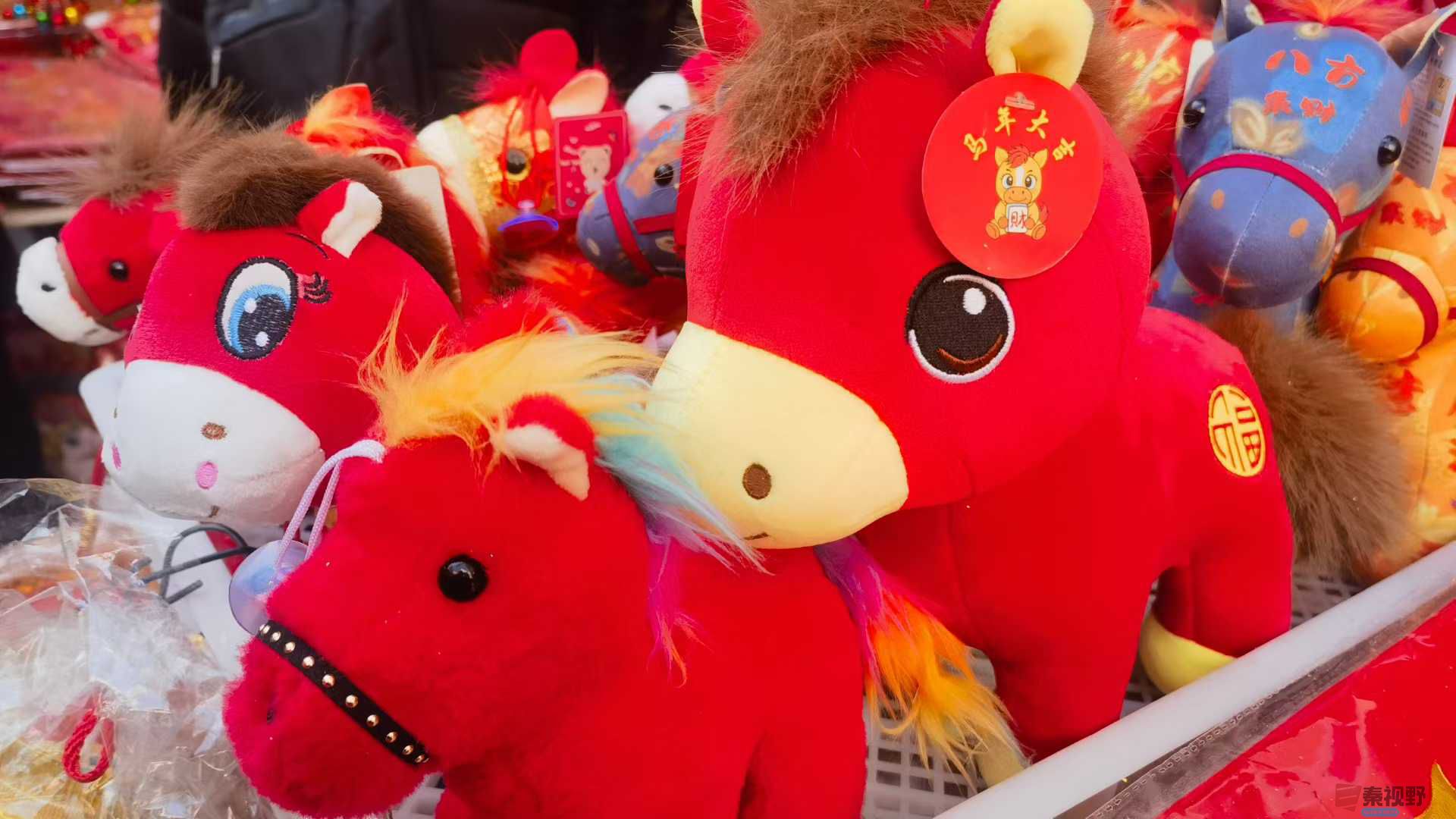 马世国_2026-02-13_171505_458 (2).jpg