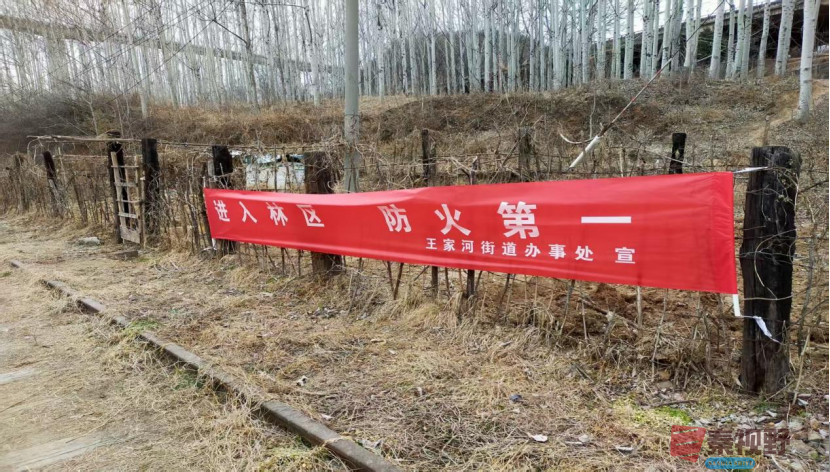 <strong>铜川王益王家河村多措并举筑牢春节森林防火安全网</strong>