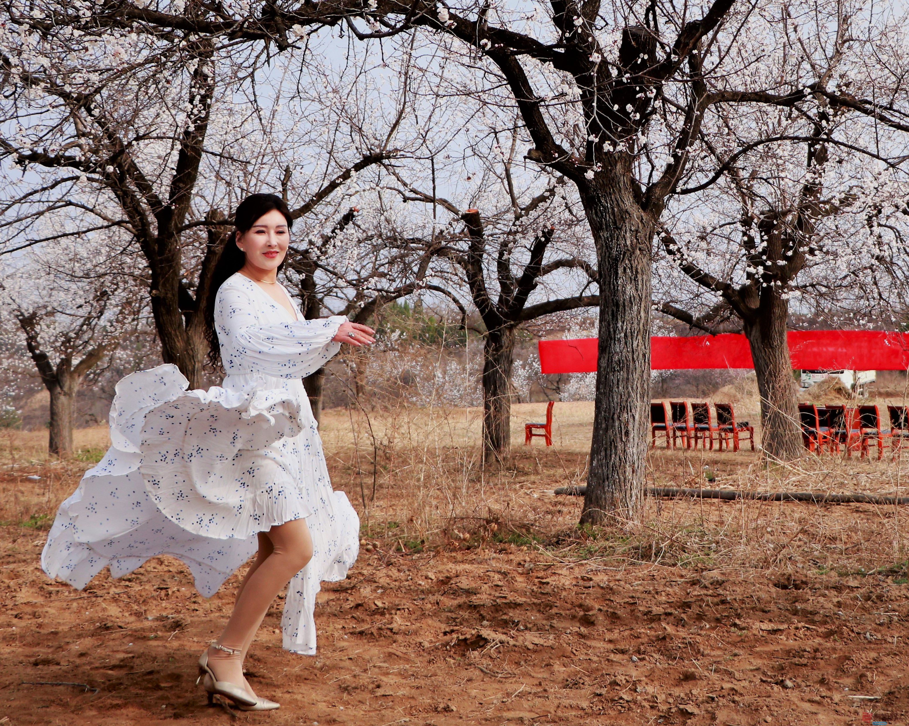 王顺利_20260324211206_4768_47 (2).jpg