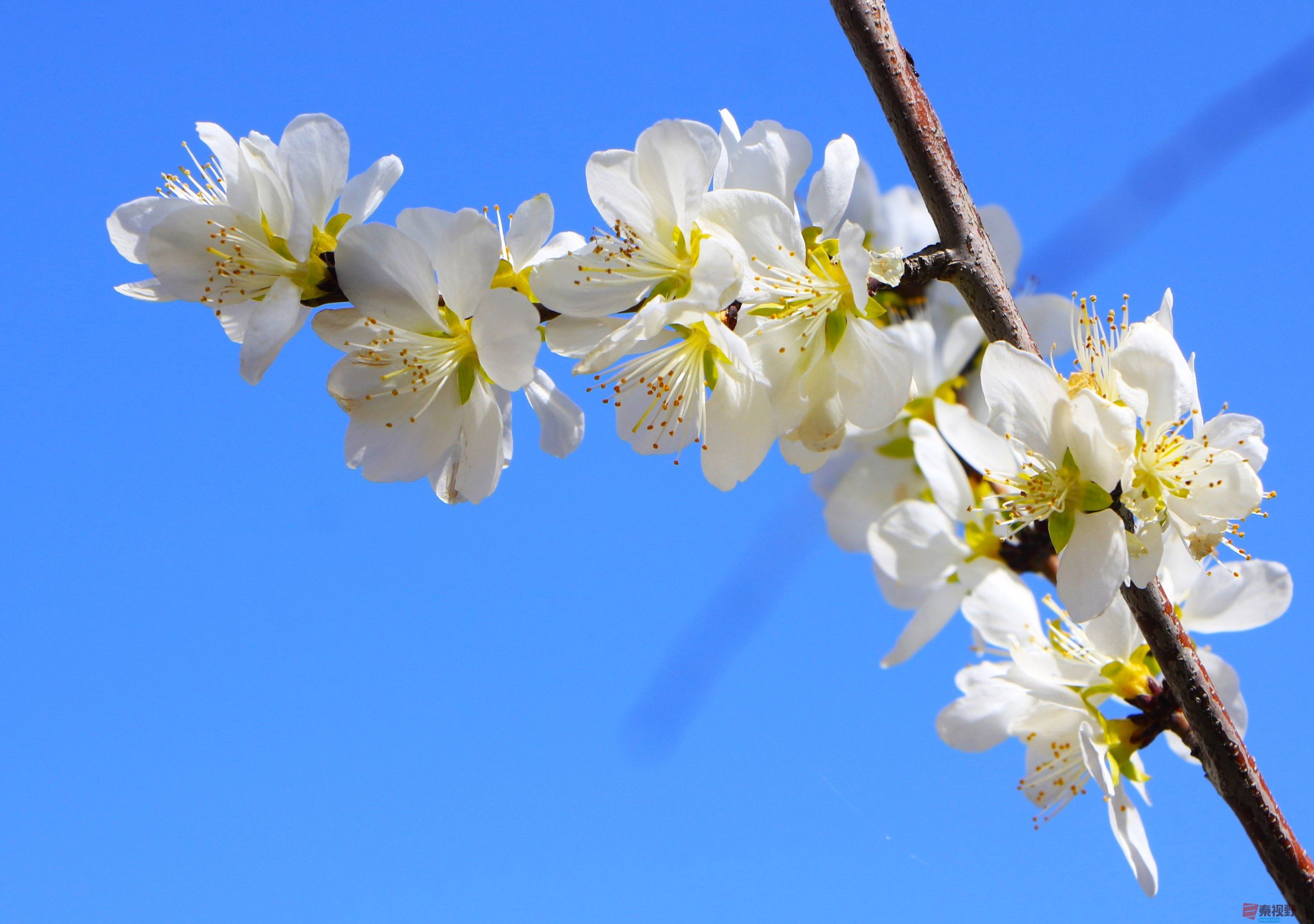 王顺利_20260324211206_4768_47 (6).jpg