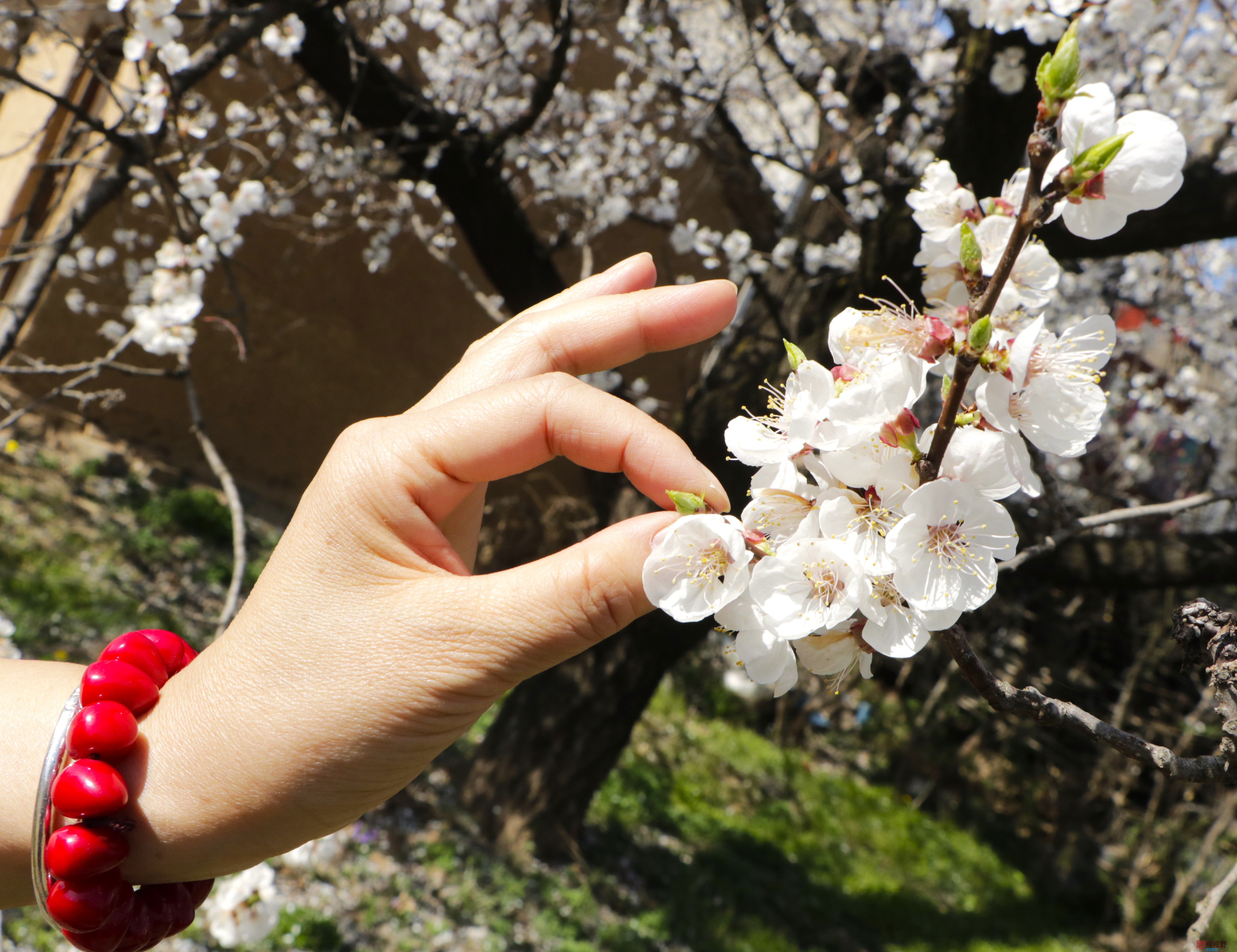 王顺利_20260324211206_4768_47 (5).jpg