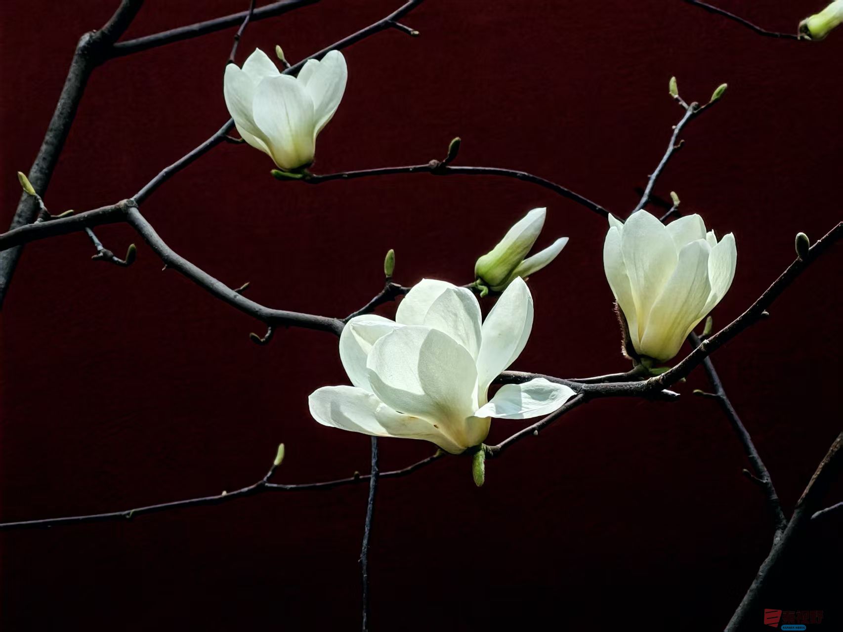 杨波_20260314081953_4334_47 (8).jpg