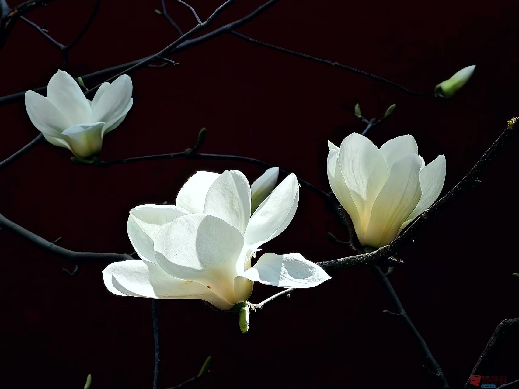 杨波_20260314081953_4334_47 (1).jpg