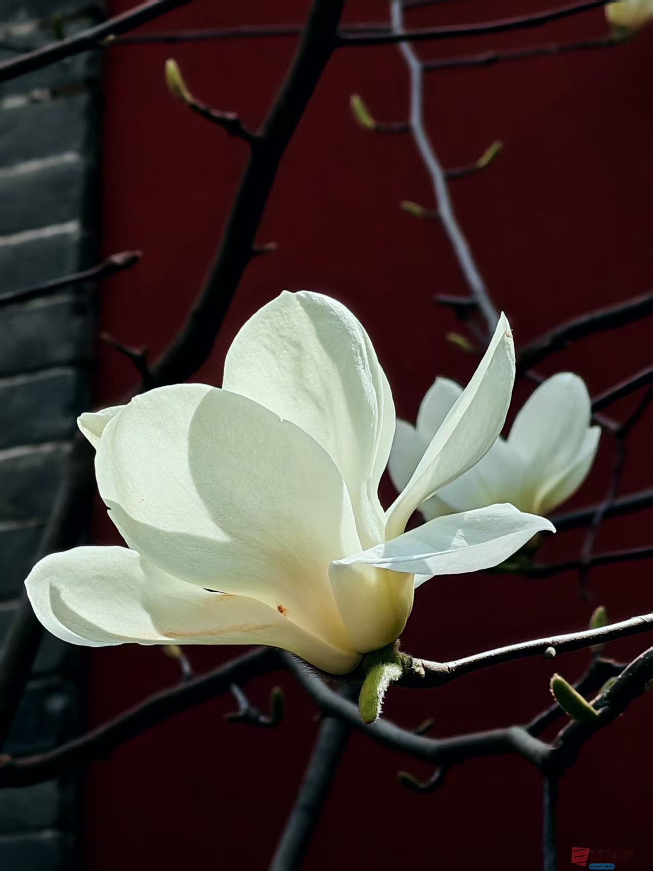 杨波_20260314081953_4334_47 (3).jpg