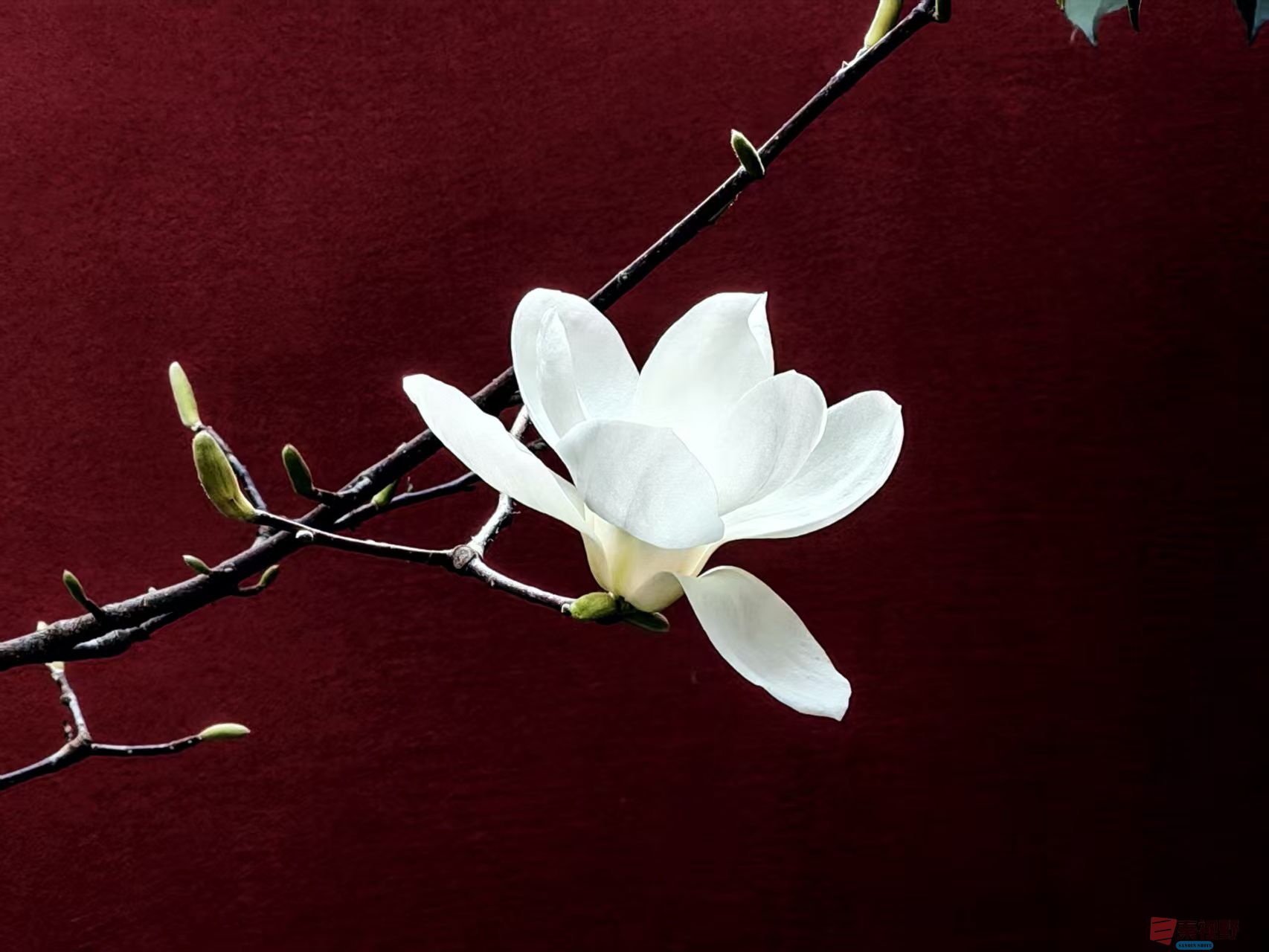 杨波_20260314081953_4334_47 (4).jpg