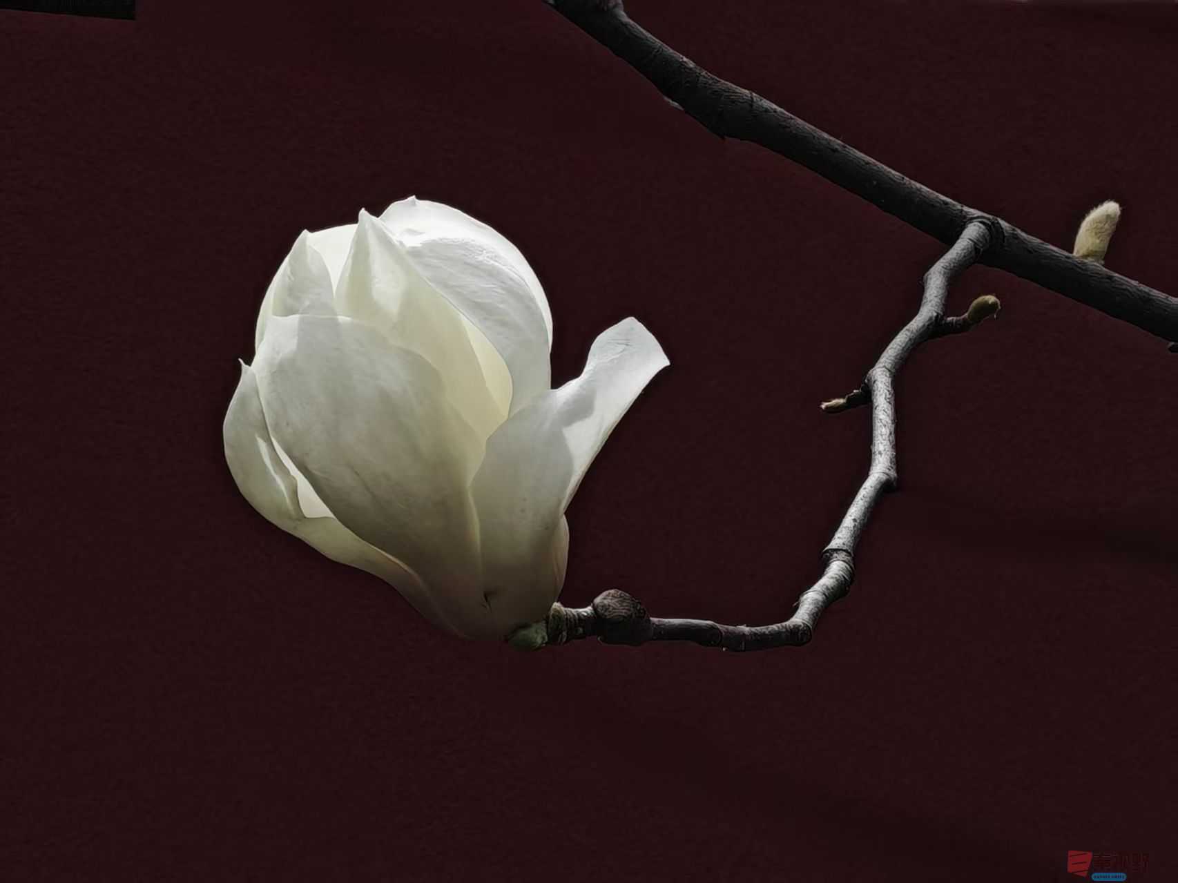 杨波_20260319065431_4425_47 (2).jpg