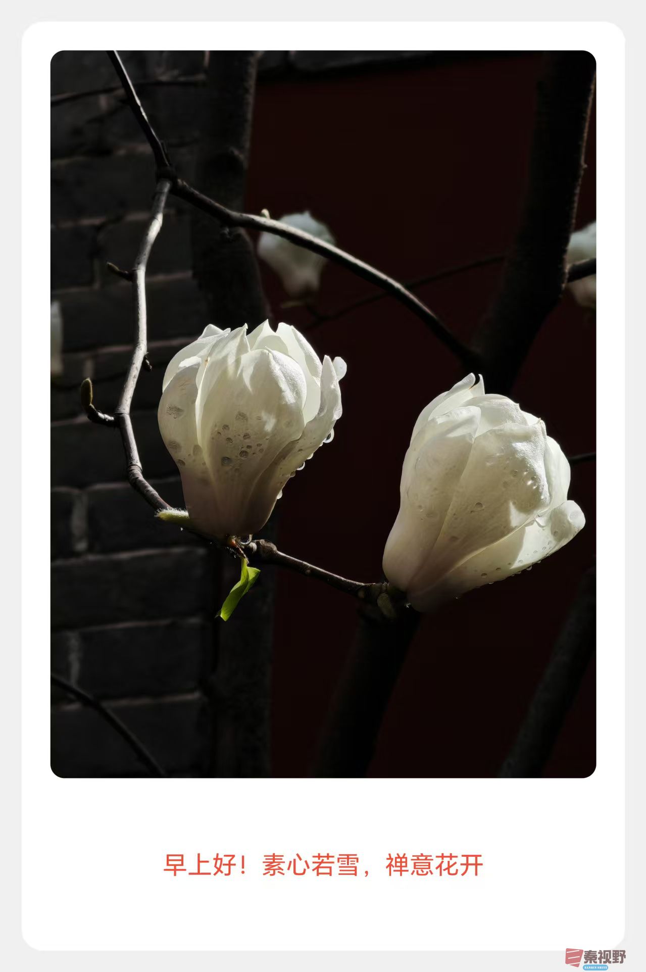 杨波_20260319065431_4425_47 (1).jpg