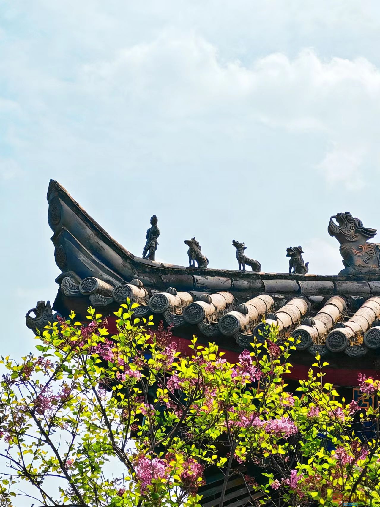 杨波_20260319065431_4425_47 (6).jpg