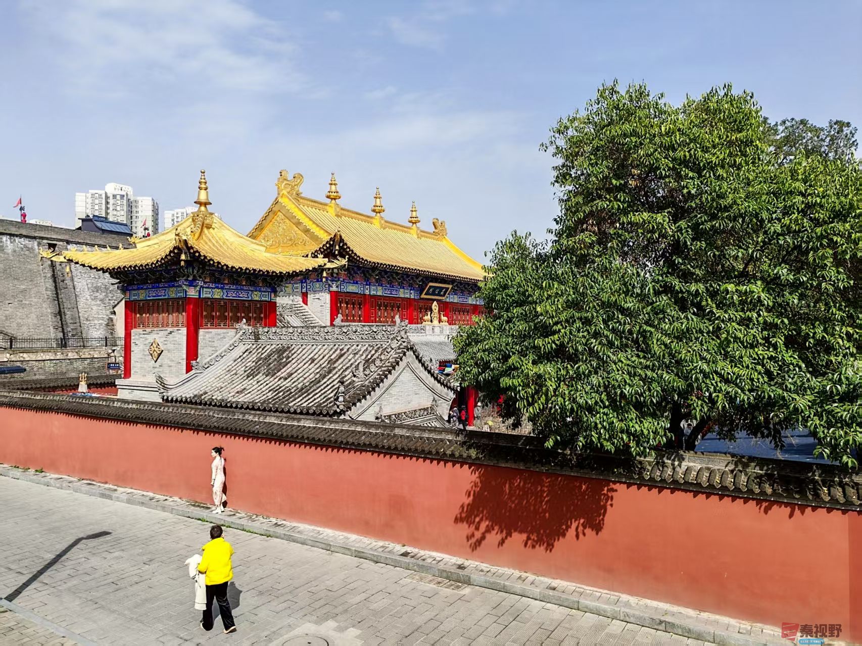 杨波_20260319065431_4425_47 (7).jpg