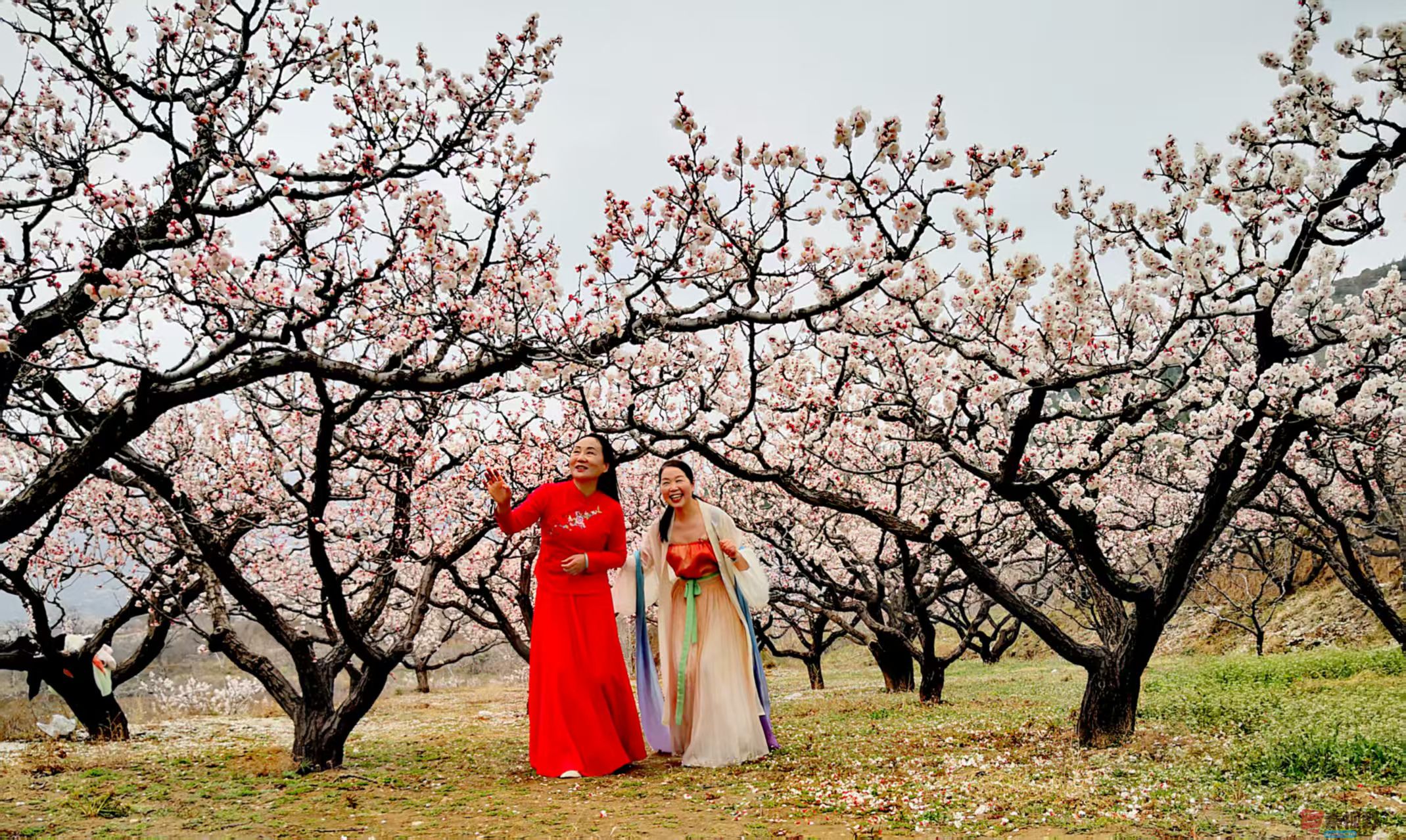 李雪平_20260320202008_4515_47 (6).jpg