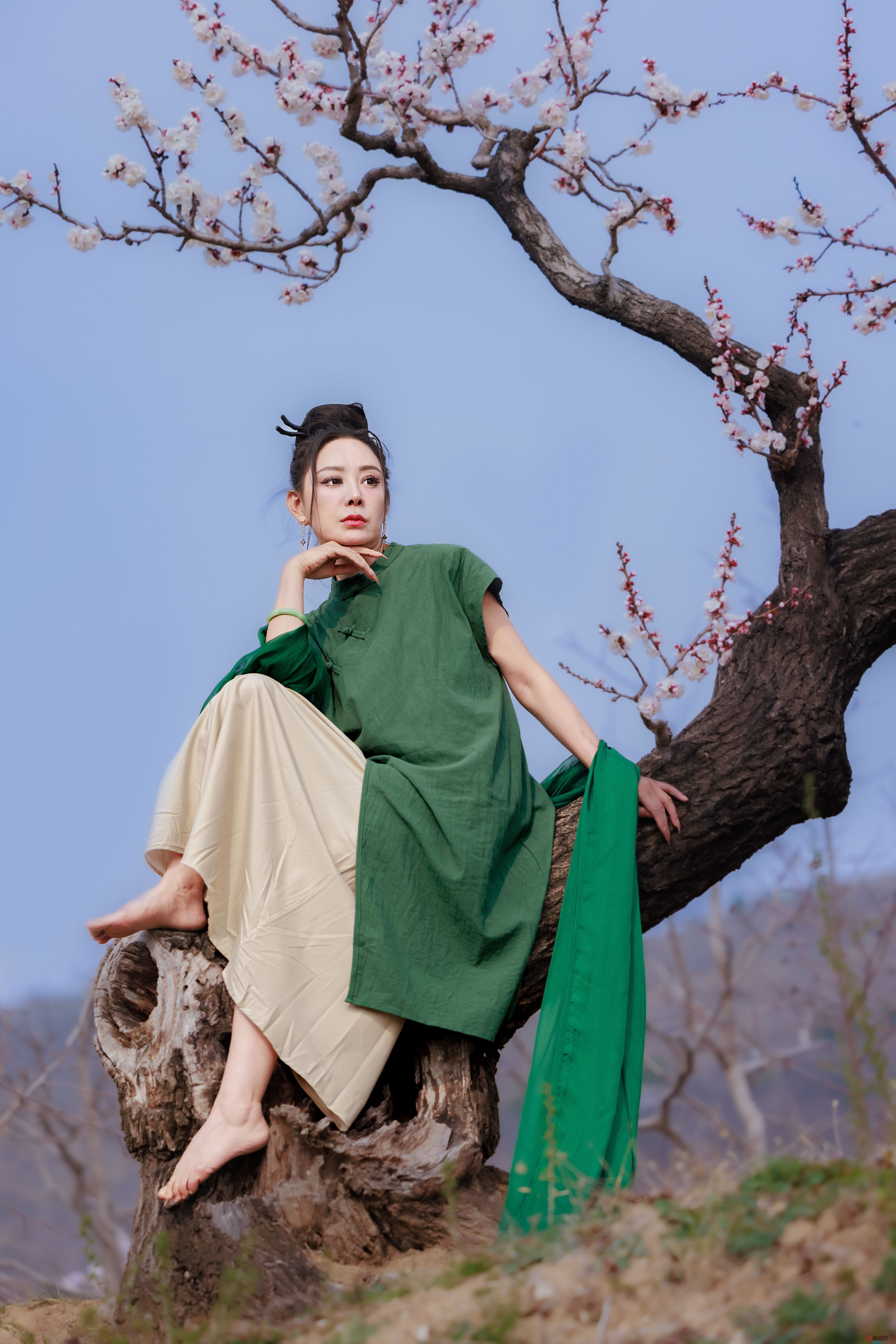 花中仙子【摄影董德学】