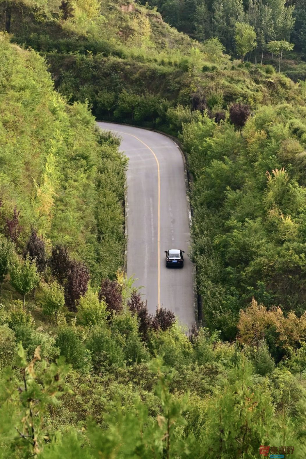 冯均仓_20260315073423_4390_47 (3).jpg