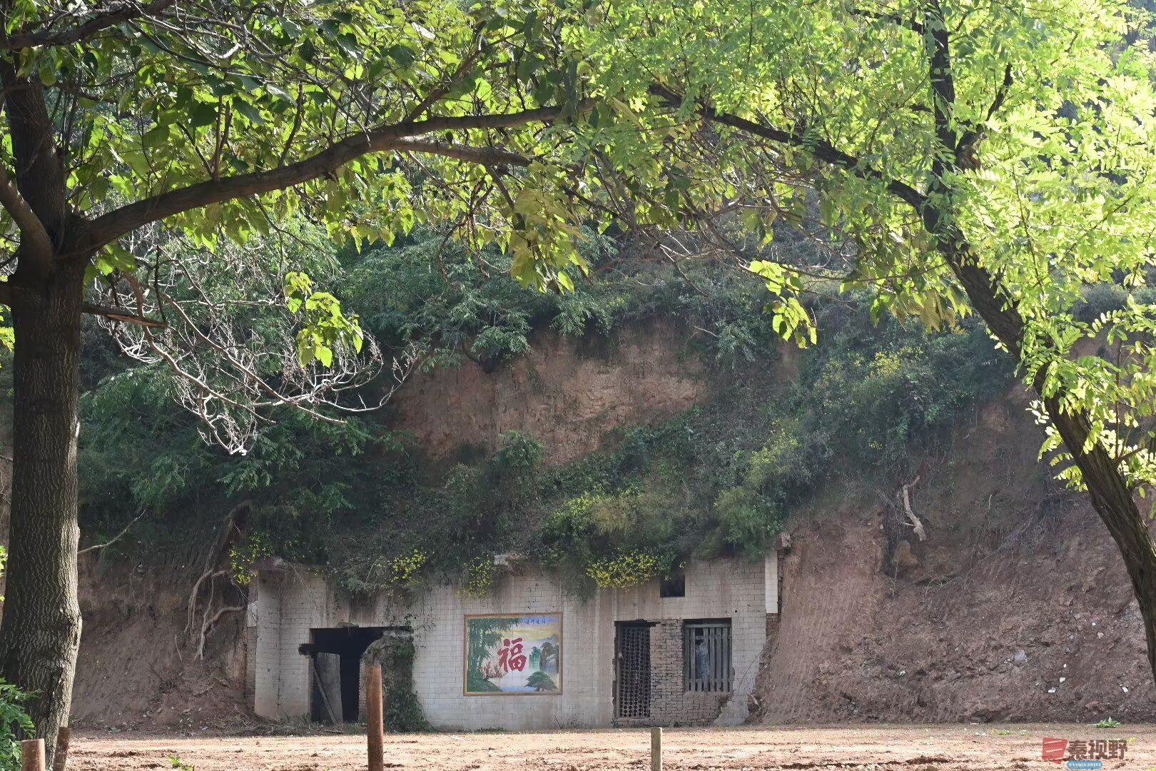 冯均仓_20260315073423_4390_47 (6).jpg